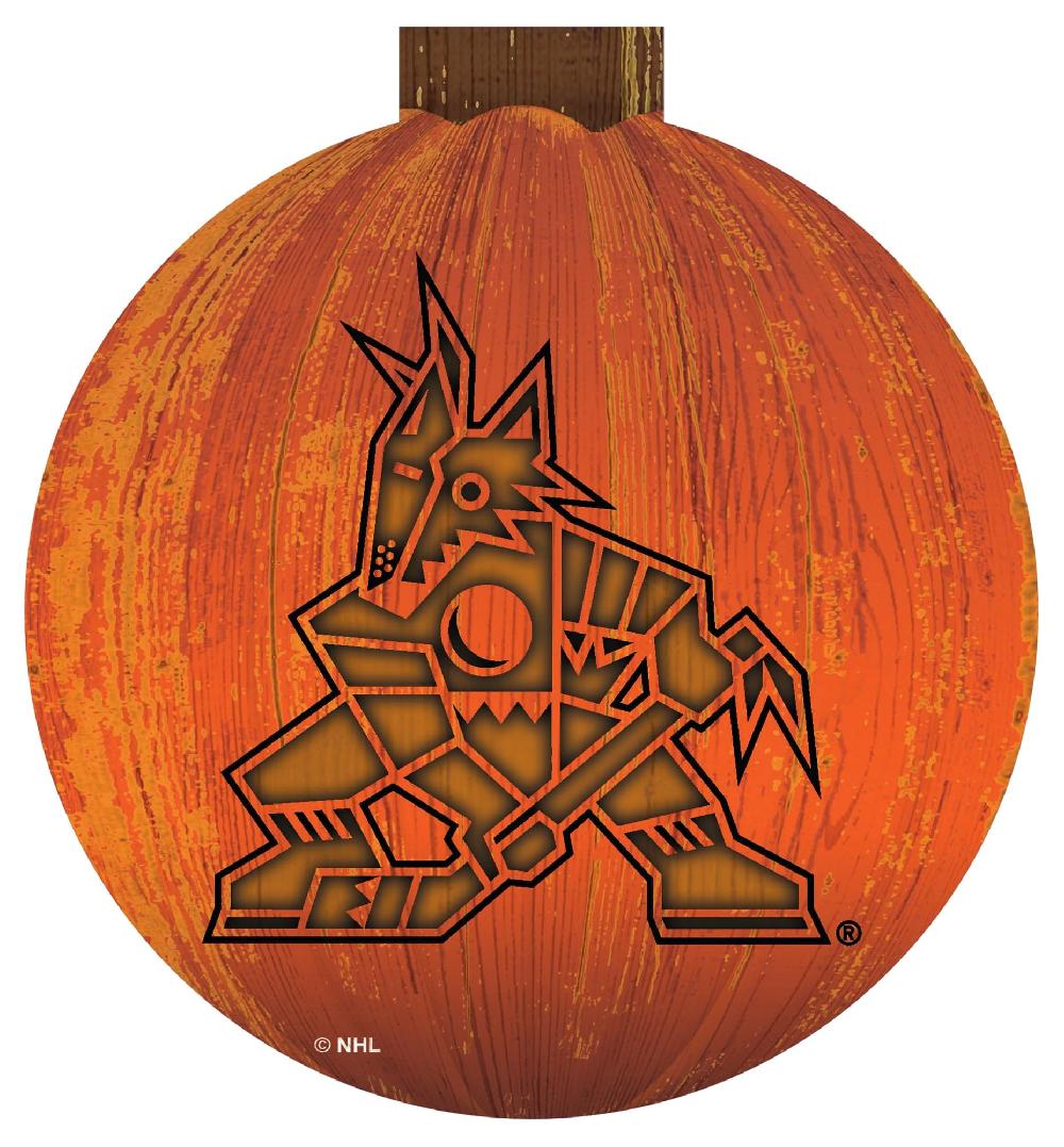 fan creations Arizona Coyotes Halloween Wall Art 12in