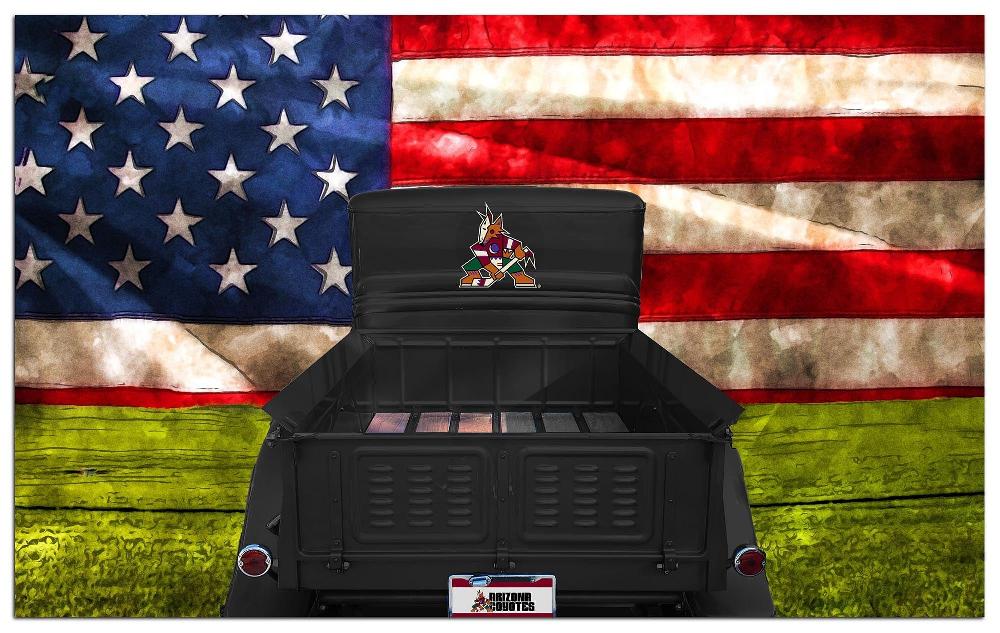 fan creations Arizona Coyotes Patriotic Retro Truck 11x19