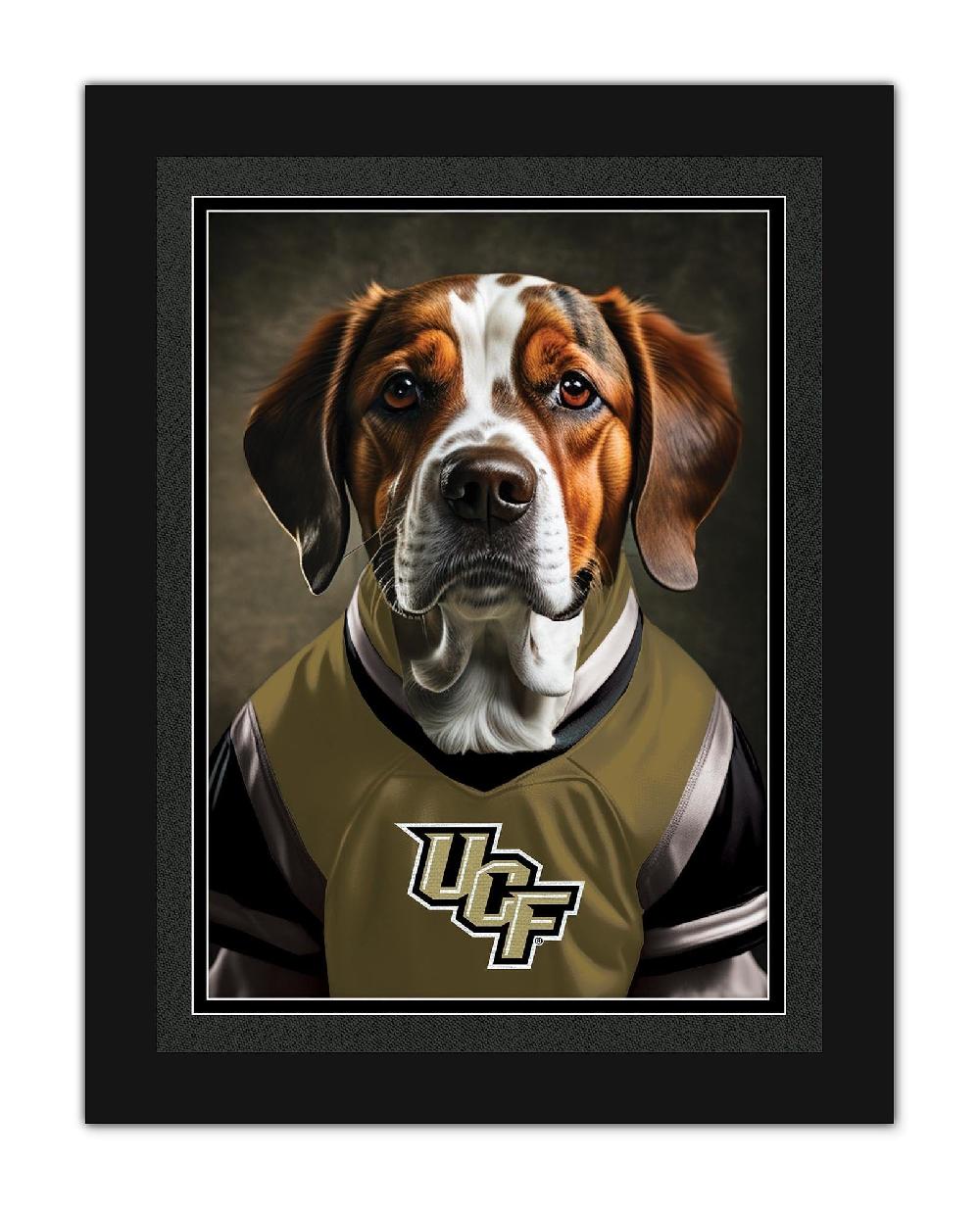 fan creations Central florida Dog in Team Jersey 12x16