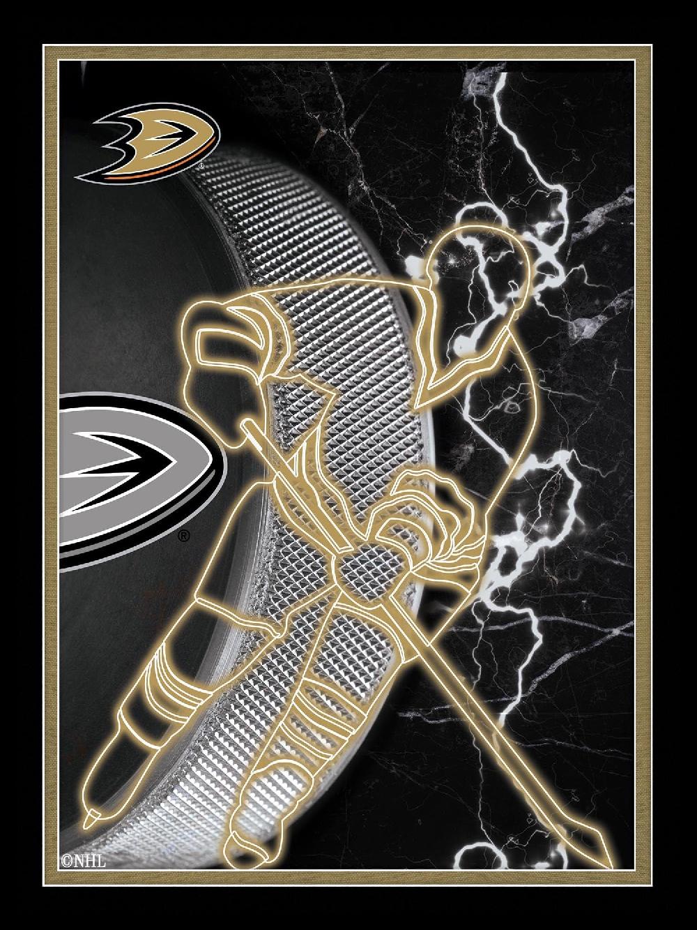 fan creations Anaheim Ducks Neon Player 12x16