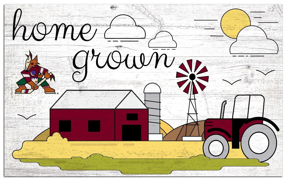 fan creations Arizona Coyotes Home Grown 11x19