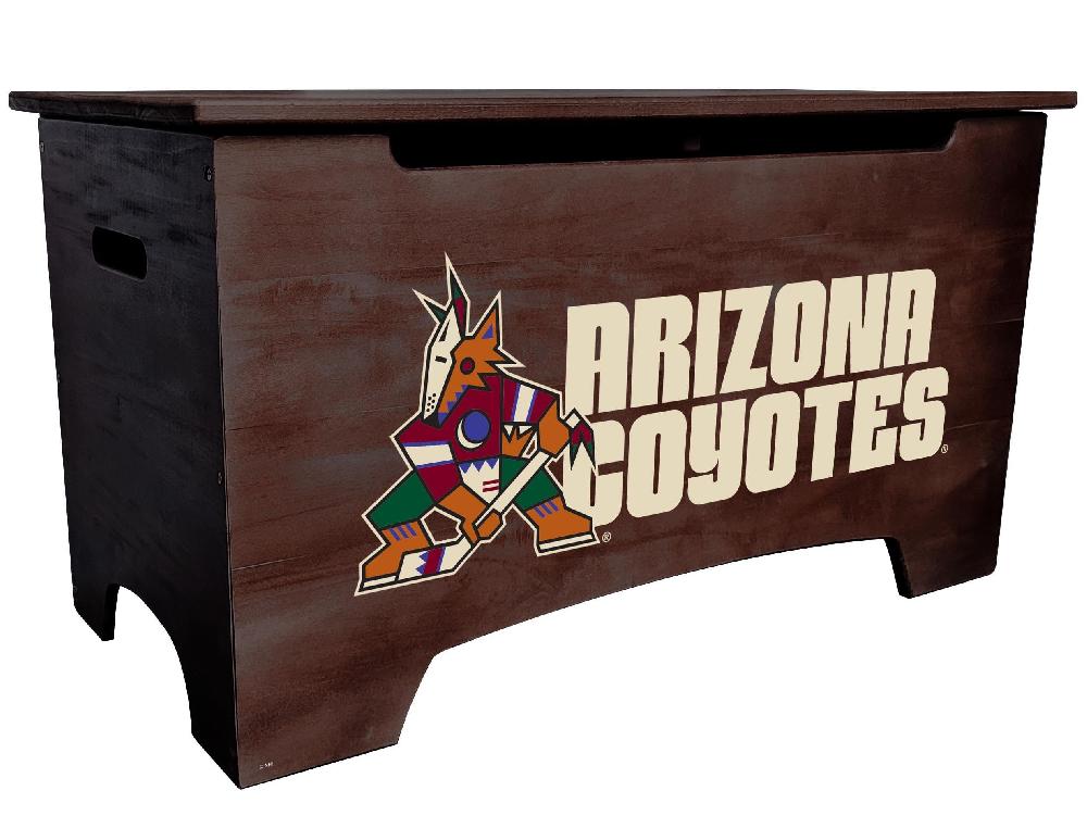 fan creations Arizona Coyotes Logo Storage Box