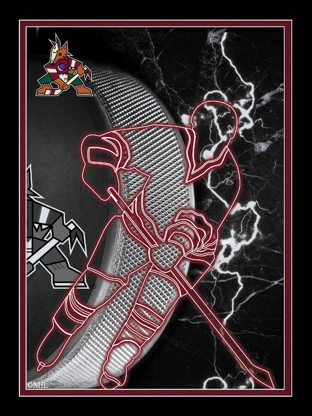 fan creations Arizona Coyotes Neon Player 12x16