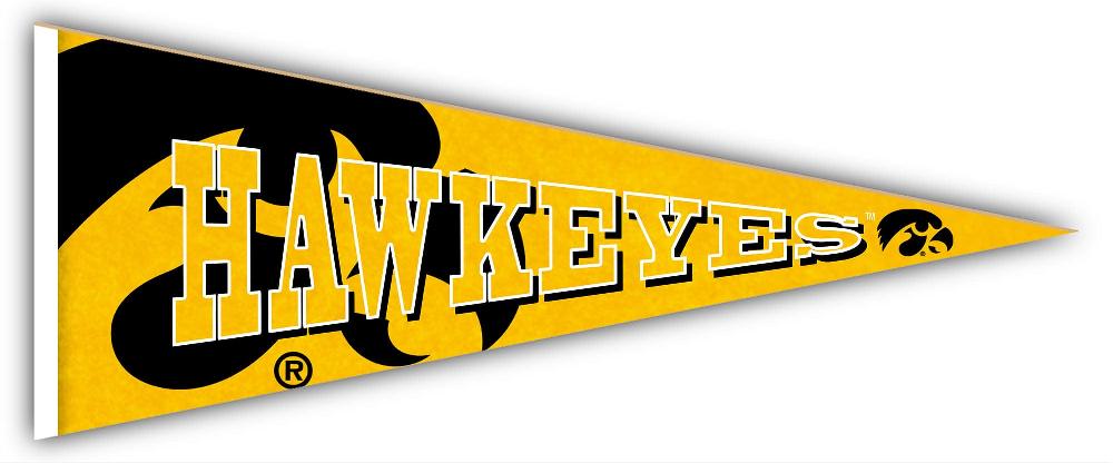 Fan Creations Iowa Pennant
