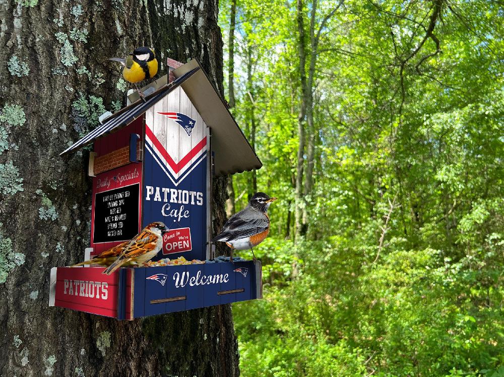 fan creations New England Patriots Bird Feeder