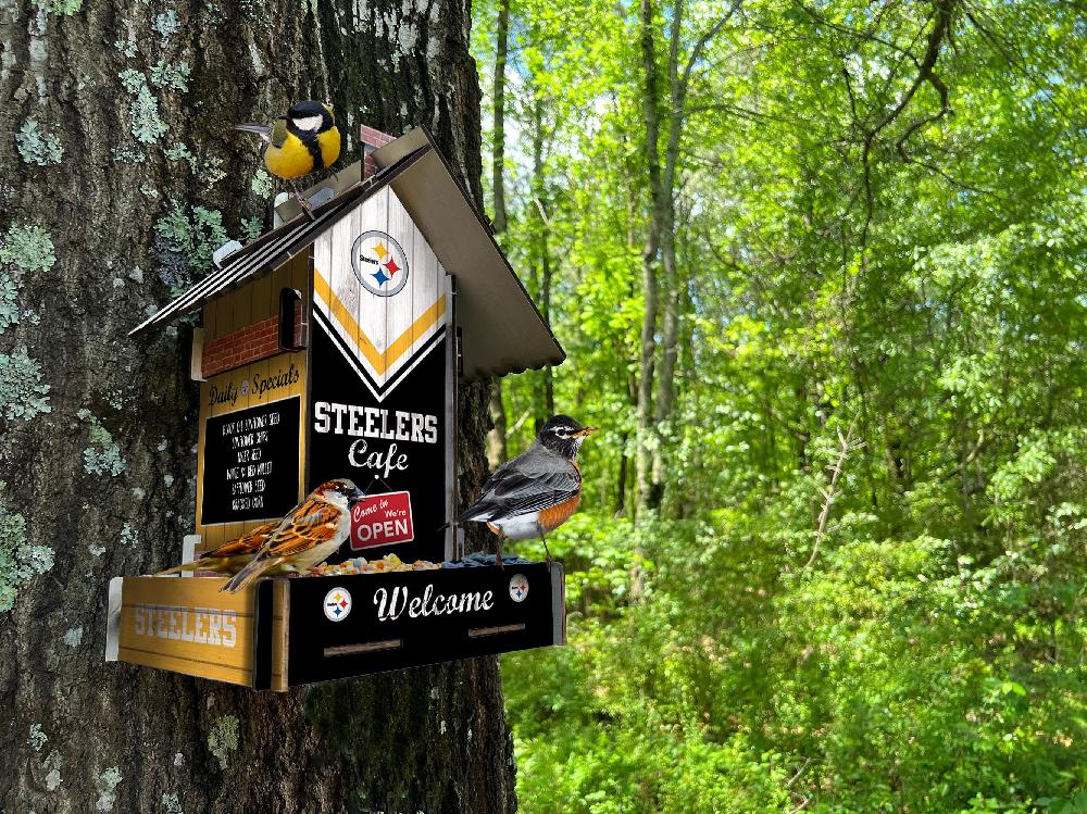 fan creations Pittsburgh Steelers Bird Feeder