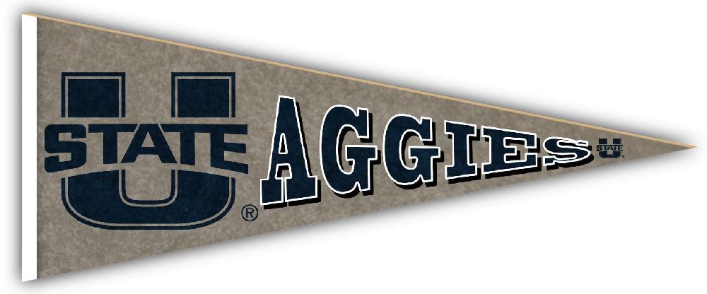 fan creations Utah State Pennant