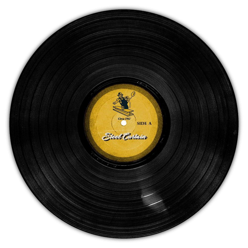 fan creations Pittsburgh Steelers Vinyl 12in Circle
