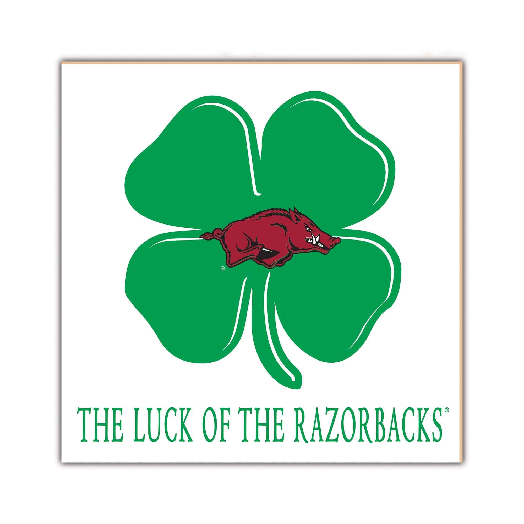 fan creations University of Arkansas Luck Of The Team 10x10